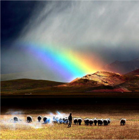 关于彩虹的名人名言哲理格言警句语录 - 每日文摘