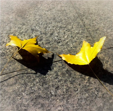 关于错过的名人名言哲理格言警句语录 - 每日文摘