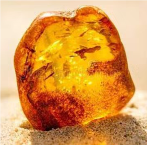 关于琥珀的名人名言哲理格言警句语录 - 每日文摘