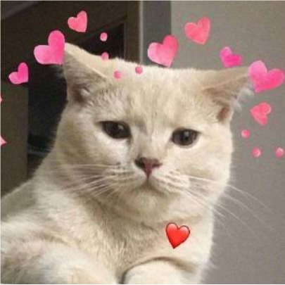 关于想你的名人名言哲理格言警句语录 - 每日文摘