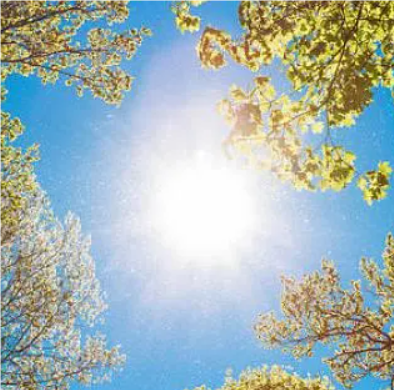 关于晴朗的名人名言哲理格言警句语录 - 每日文摘