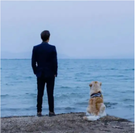 关于何苦的名人名言哲理格言警句语录 - 每日文摘