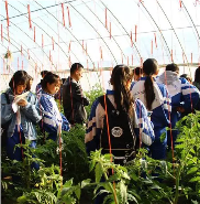 关于见识的名人名言哲理格言警句语录 - 每日文摘