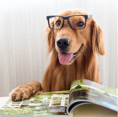 关于明智的名人名言哲理格言警句语录 - 每日文摘